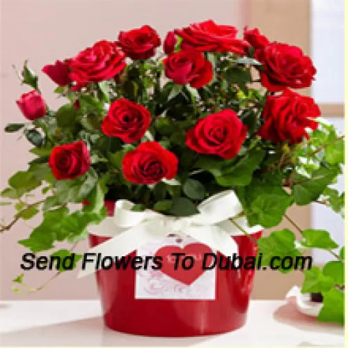 季節の花材を使った美しい18本の赤いバラのアレンジメント